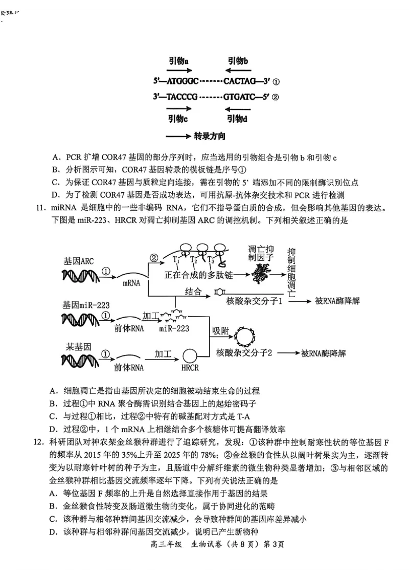《鄂东南联盟学校2026年5月高三模拟考试生物_2024-2027高三（6-6月题库）_2026年05月高三试卷_260514湖北省鄂东南联盟学校2026年5月高三模拟考试（全科）》第3页预览
