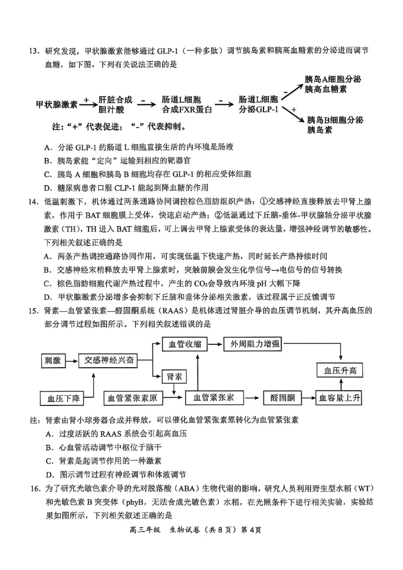 《鄂东南联盟学校2026年5月高三模拟考试生物_2024-2027高三（6-6月题库）_2026年05月高三试卷_260514湖北省鄂东南联盟学校2026年5月高三模拟考试（全科）》第4页预览