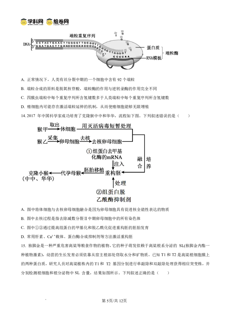 《长沙市一中2026届高三月考试卷（十）生物_2024-2027高三（6-6月题库）_2026年05月高三试卷_260502湖南省长沙市一中2026届高三月考试卷（十）》第5页预览