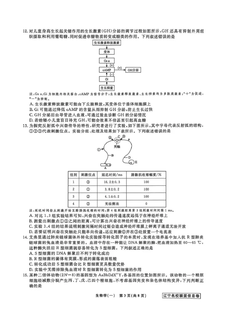 《辽宁省名校联盟2026届高三下学期高考模拟卷（信息卷）（一）生物试卷（含答案）_12.2026年4月全国各地高考模拟卷_2026届辽宁省名校联盟高三下学期高考模拟卷（信息卷）（一二三四）》第3页预览