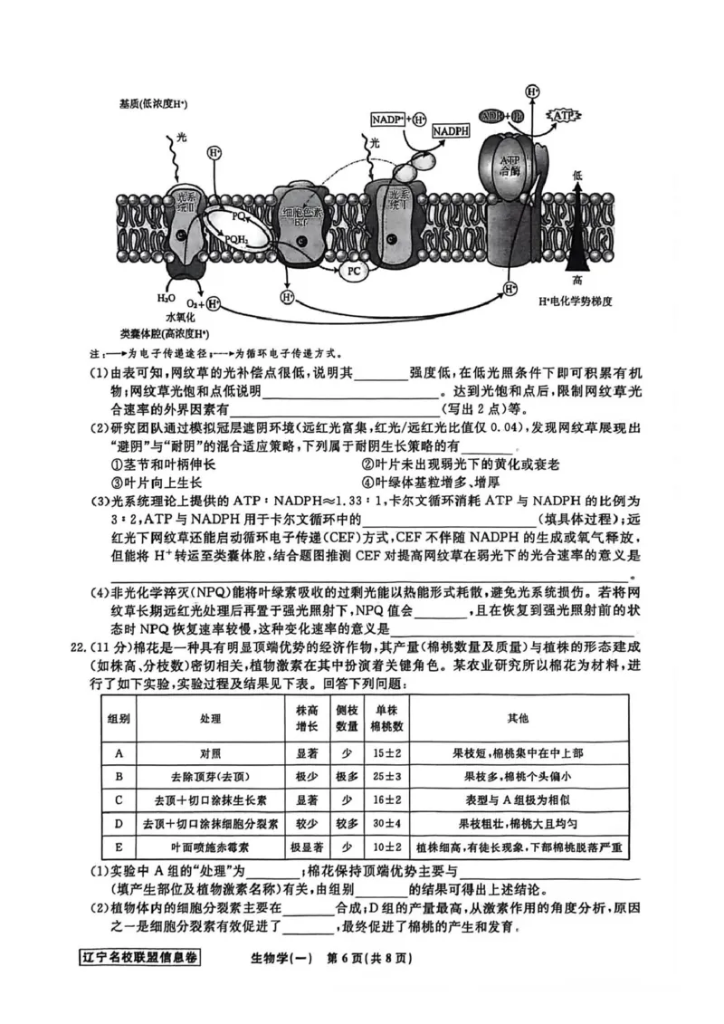《辽宁省名校联盟2026届高三下学期高考模拟卷（信息卷）（一）生物试卷（含答案）_12.2026年4月全国各地高考模拟卷_2026届辽宁省名校联盟高三下学期高考模拟卷（信息卷）（一二三四）》第6页预览