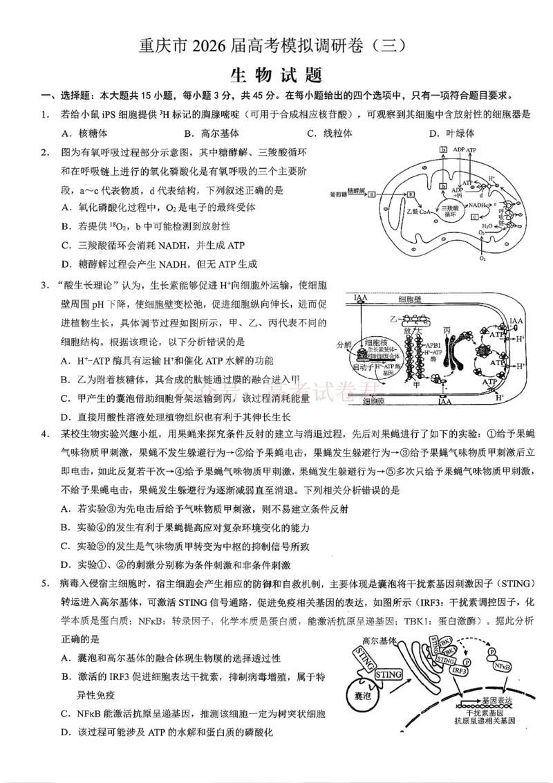 《重庆市2026年普通高等学校招生全国统一考试康德调研（三）生物+答案_副本_12.2026年4月全国各地高考模拟卷_2026届重庆市康德高三模拟调研卷（三）全科》第1页预览
