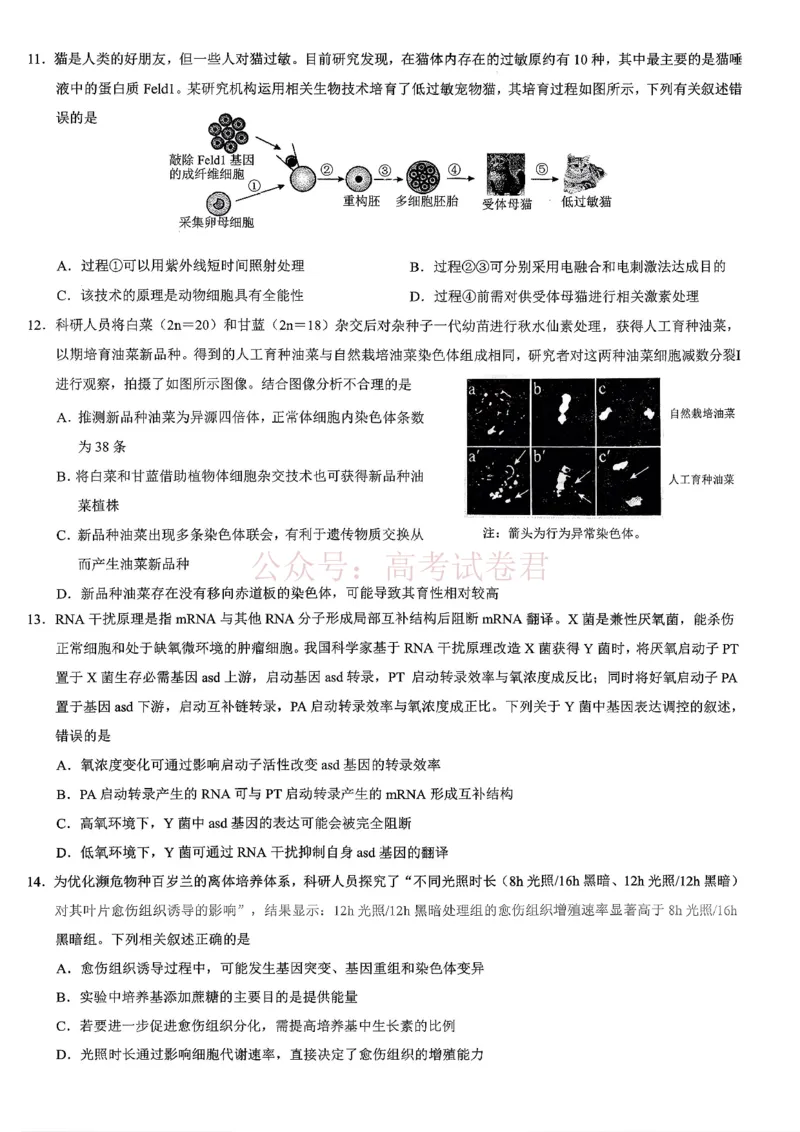 《重庆市2026年普通高等学校招生全国统一考试康德调研（三）生物+答案_副本_12.2026年4月全国各地高考模拟卷_2026届重庆市康德高三模拟调研卷（三）全科》第3页预览