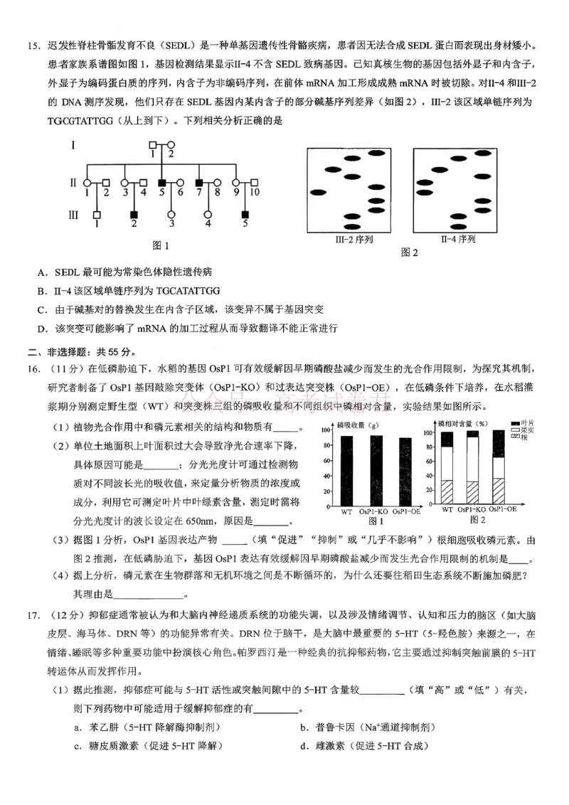《重庆市2026年普通高等学校招生全国统一考试康德调研（三）生物+答案_副本_12.2026年4月全国各地高考模拟卷_2026届重庆市康德高三模拟调研卷（三）全科》第4页预览