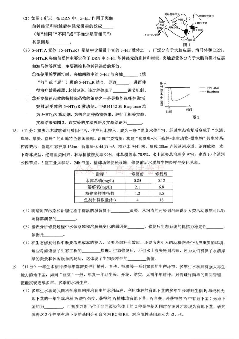 《重庆市2026年普通高等学校招生全国统一考试康德调研（三）生物+答案_副本_12.2026年4月全国各地高考模拟卷_2026届重庆市康德高三模拟调研卷（三）全科》第5页预览