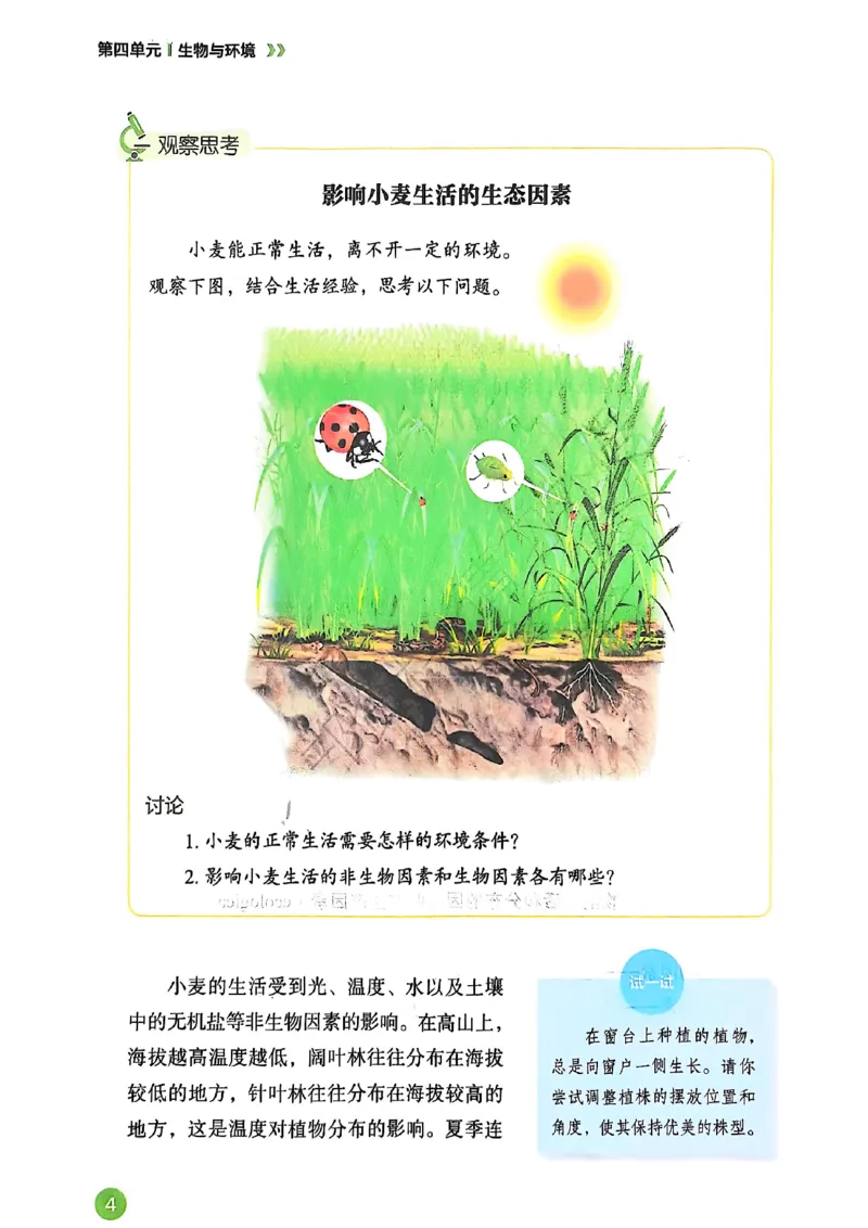 《b56c77d751ebc25646327ba6d2973a07》第6页预览