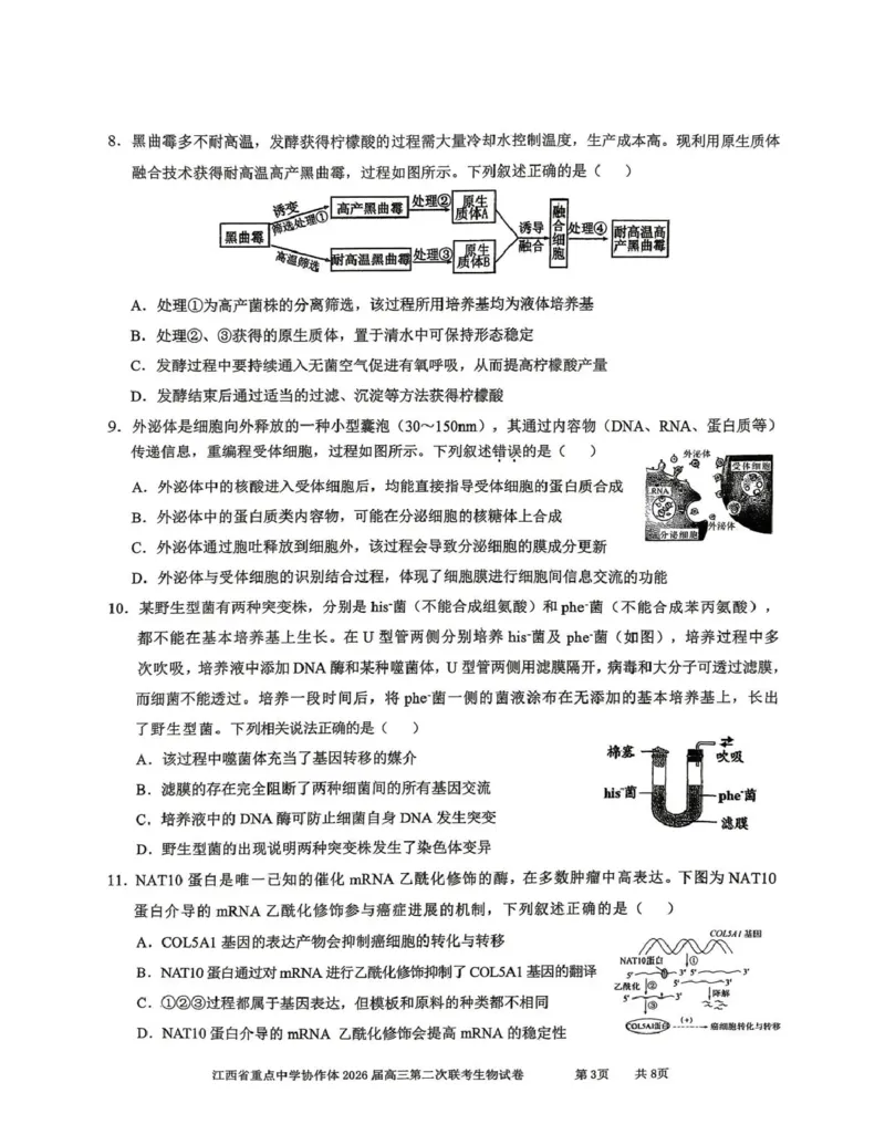 《重点中学协作体2026届高三第二次联考生物_2024-2027高三（6-6月题库）_2026年05月高三试卷_260516江西省重点中学协作体2026届高三第二次联考（全科）》第3页预览