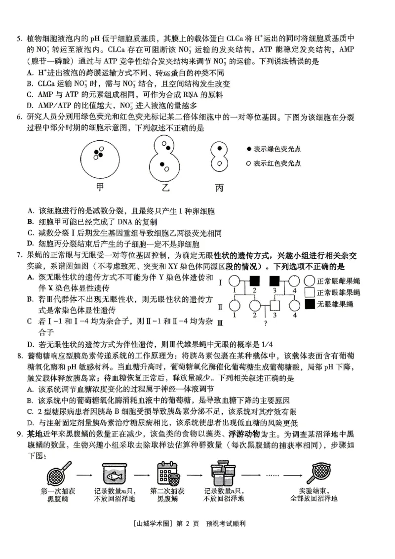 《重庆一中高2026届高三5月三诊考试生物_2024-2027高三(6-6月题库)_2026年05月高三试卷_260513重庆一中高2026届高三5月三诊考试(全科)》第2页预览