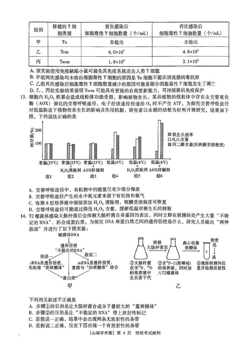 《重庆一中高2026届高三5月三诊考试生物_2024-2027高三(6-6月题库)_2026年05月高三试卷_260513重庆一中高2026届高三5月三诊考试(全科)》第4页预览