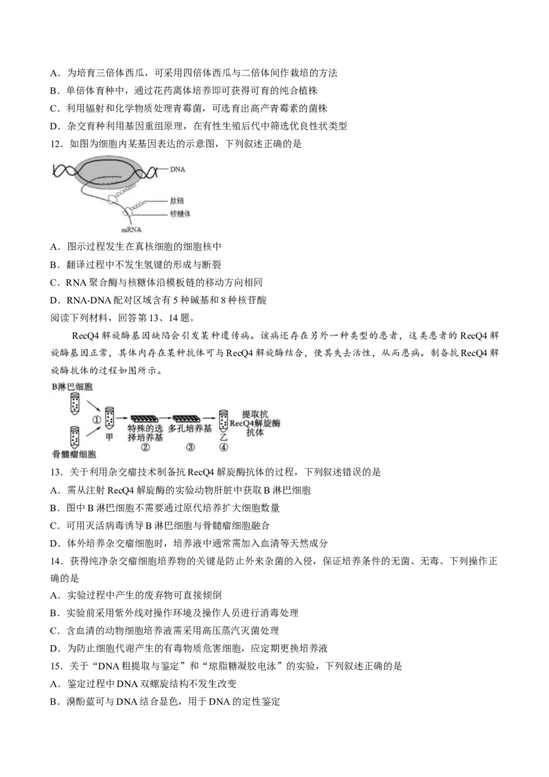 《试卷浙江省丽水市发展共同体2025-2026学年高二下学期4月期中生物试题_2024-2027高二（7-7月题库）_2026年04月高二试卷》第3页预览