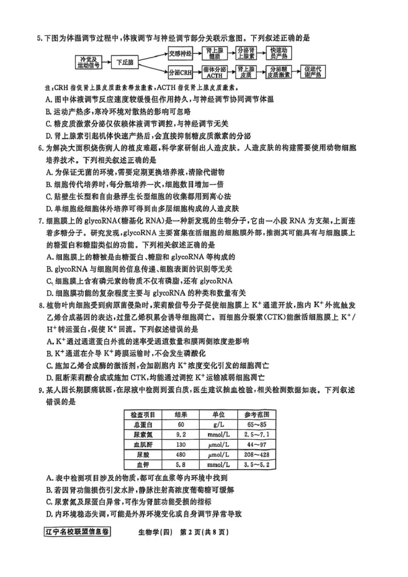 《辽宁省名校联盟2026届高三下学期高考模拟卷（信息卷）（四）生物试卷（含答案）_2024-2027高三（6-6月题库）_2026年05月高三试卷》第2页预览
