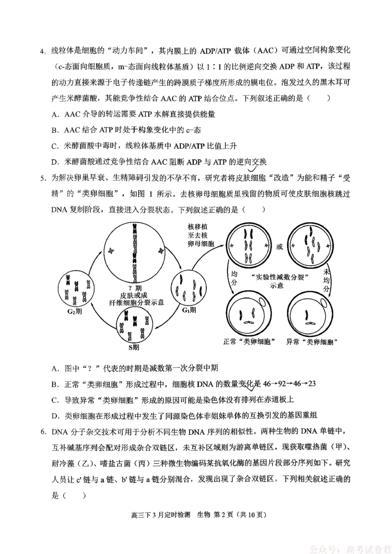 《西南大学附属中学校2025-2026学年高三下学期开学考试生物试题_12.2026年4月全国各地高考模拟卷_2026届西南大学附属中学高三下学期开学考试》第2页预览