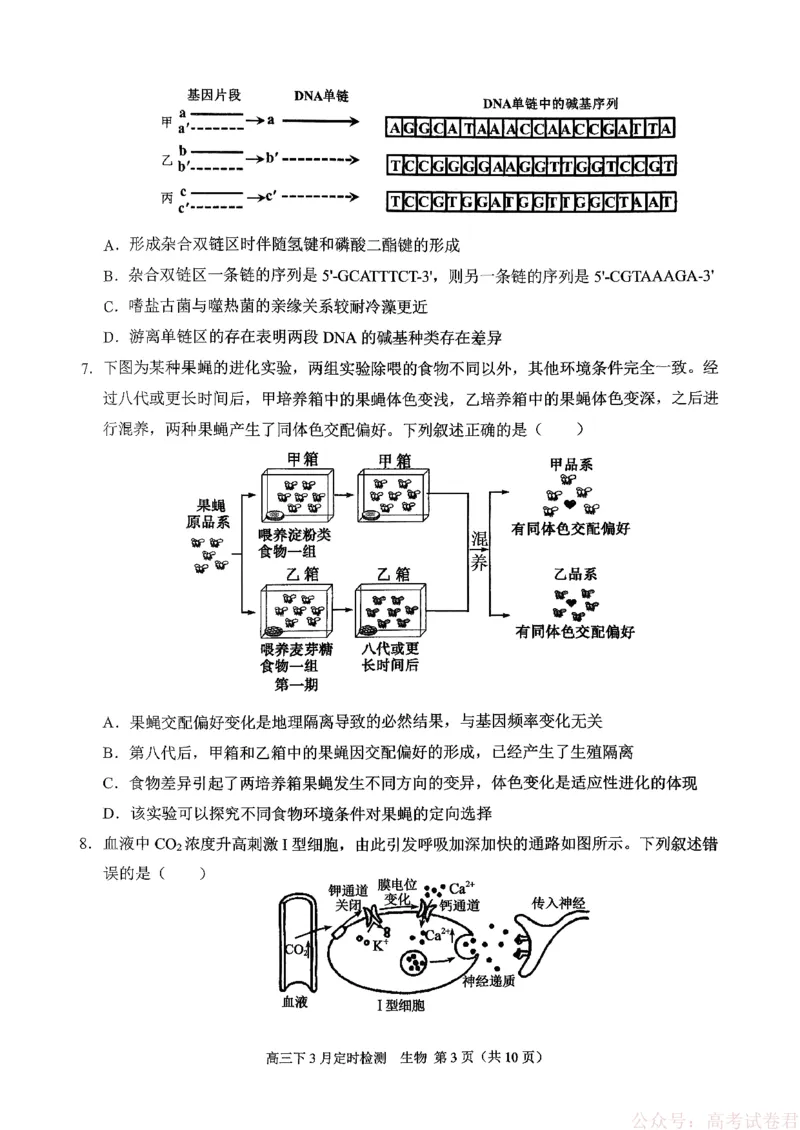 《西南大学附属中学校2025-2026学年高三下学期开学考试生物试题_12.2026年4月全国各地高考模拟卷_2026届西南大学附属中学高三下学期开学考试》第3页预览