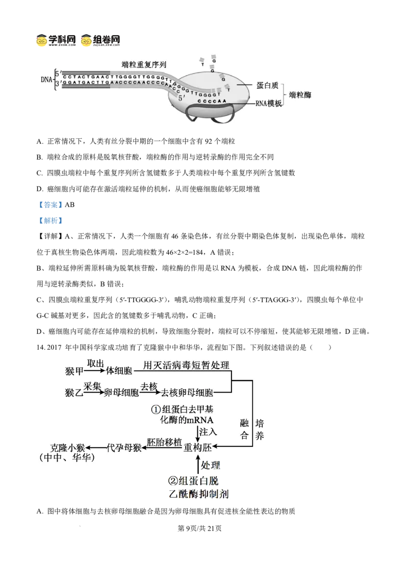 《长沙市一中2026届高三月考试卷（十）生物答案_2024-2027高三（6-6月题库）_2026年05月高三试卷_260502湖南省长沙市一中2026届高三月考试卷（十）》第9页预览