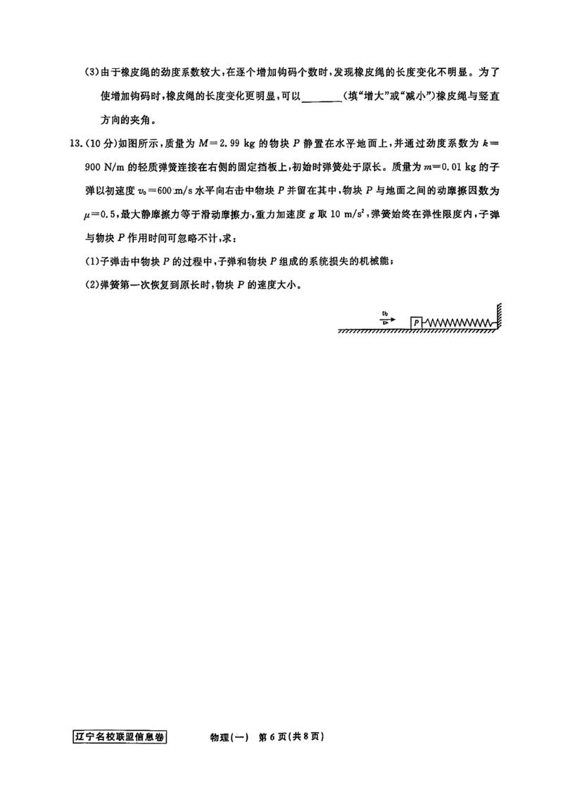 《辽宁省名校联盟2026届高三下学期高考模拟卷（信息卷）（一）物理试卷（含答案）_12.2026年4月全国各地高考模拟卷_2026届辽宁省名校联盟高三下学期高考模拟卷（信息卷）（一二三四）》第6页预览