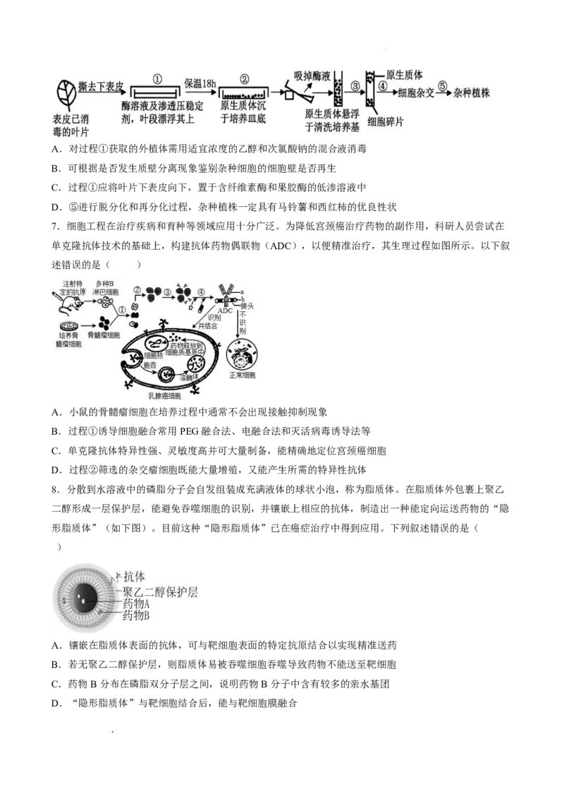 《试卷辽宁省沈阳市第一二0中学2025-2026学年高二下学期期中生物试卷_2024-2027高二（7-7月题库）_2026年06月高二试卷_260603辽宁省沈阳市第一二0中学2025-2026学年高二下学期5月期中考试》第3页预览