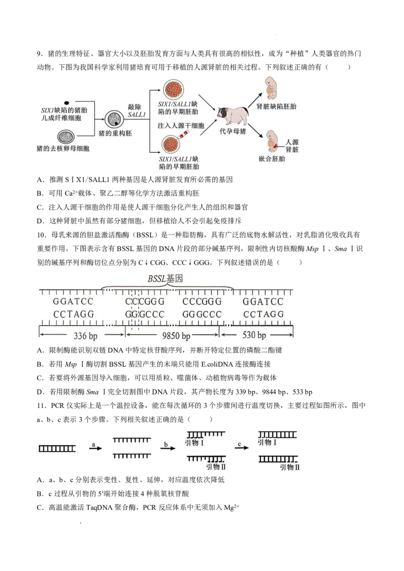 《试卷辽宁省沈阳市第一二0中学2025-2026学年高二下学期期中生物试卷_2024-2027高二（7-7月题库）_2026年06月高二试卷_260603辽宁省沈阳市第一二0中学2025-2026学年高二下学期5月期中考试》第4页预览