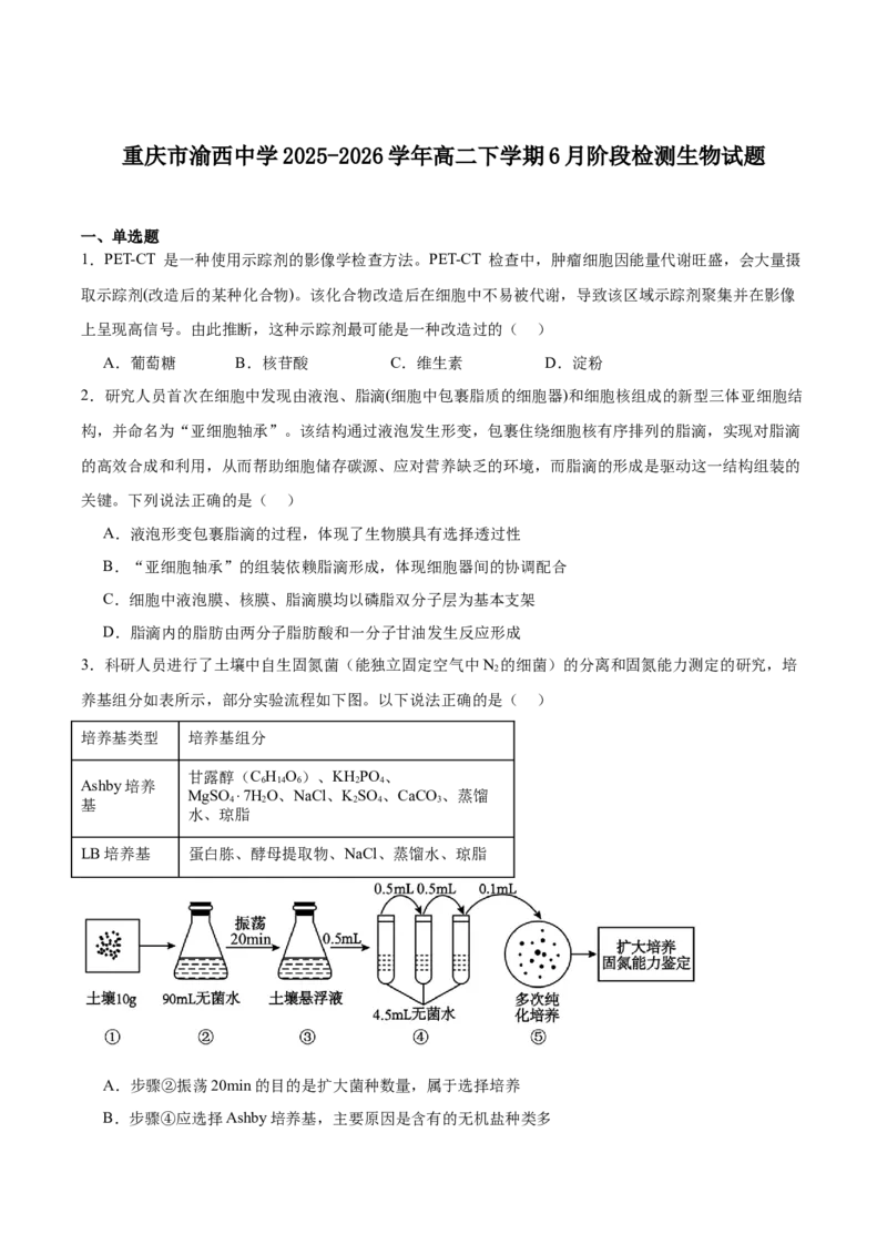 《重庆市渝西中学2025-2026学年高二下学期6月阶段检测生物试卷(含答案)_2024-2027高二（7-7月题库）_2026年06月高二试卷_260619重庆市渝西中学2025-2026学年高二下学期6月阶段检测》第1页预览