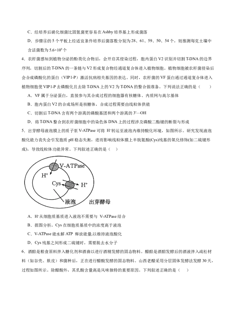 《重庆市渝西中学2025-2026学年高二下学期6月阶段检测生物试卷(含答案)_2024-2027高二（7-7月题库）_2026年06月高二试卷_260619重庆市渝西中学2025-2026学年高二下学期6月阶段检测》第2页预览