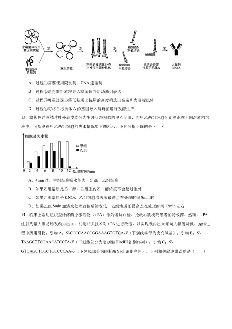 《重庆市渝西中学2025-2026学年高二下学期6月阶段检测生物试卷(含答案)_2024-2027高二（7-7月题库）_2026年06月高二试卷_260619重庆市渝西中学2025-2026学年高二下学期6月阶段检测》第5页预览