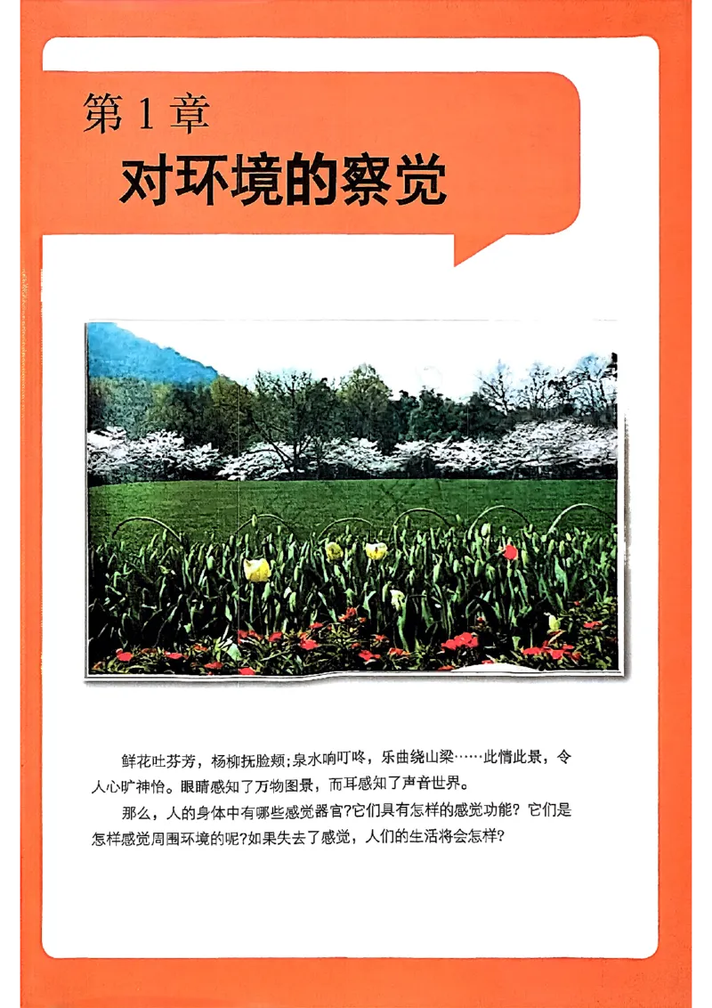 《fa13dab7afad8bff88ea05a96a2ce248》第4页预览