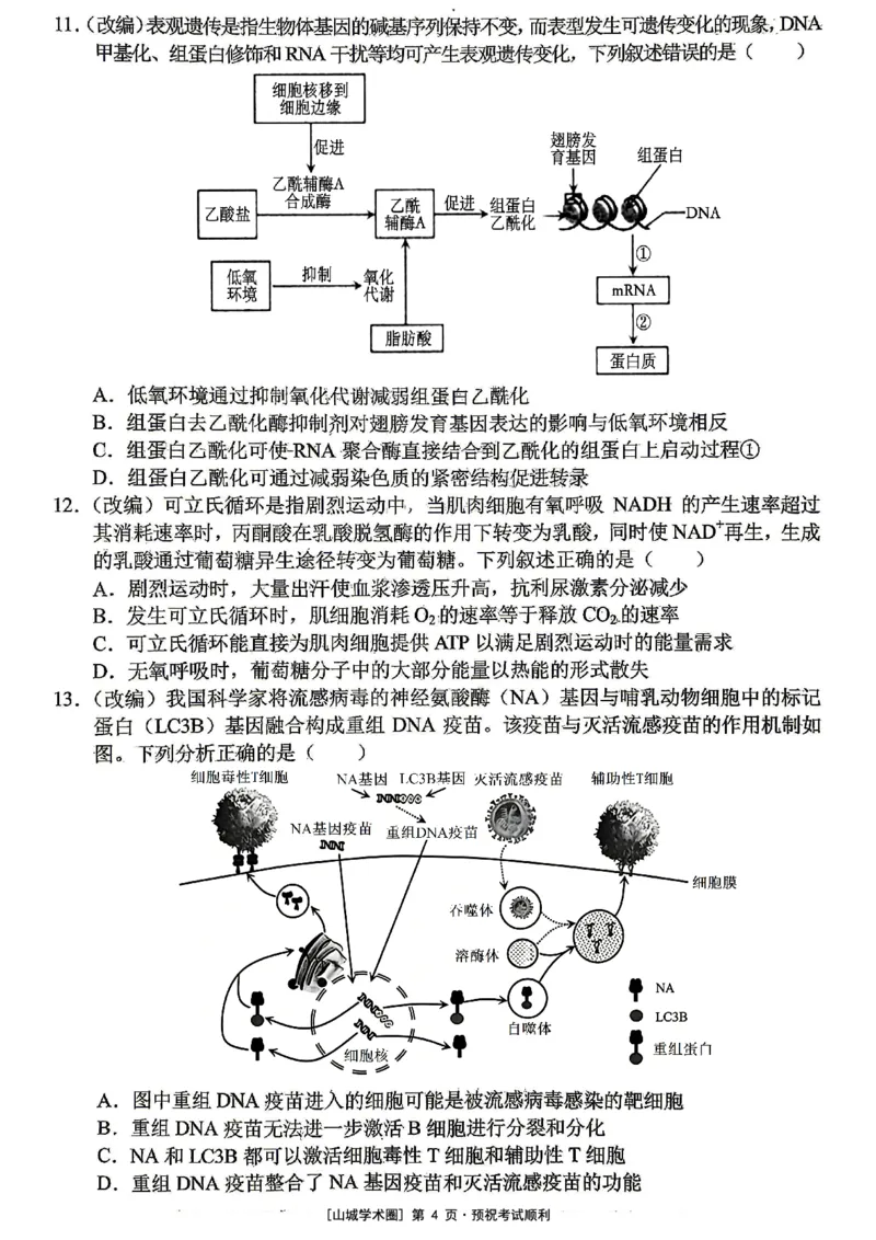 《重庆市七校联盟高2026届第三次联合诊断性考试生物+答案_2024-2027高三（6-6月题库）_2026年05月高三试卷_260524重庆市七校联盟高2026届第三次联合诊断性考试（全科）》第4页预览