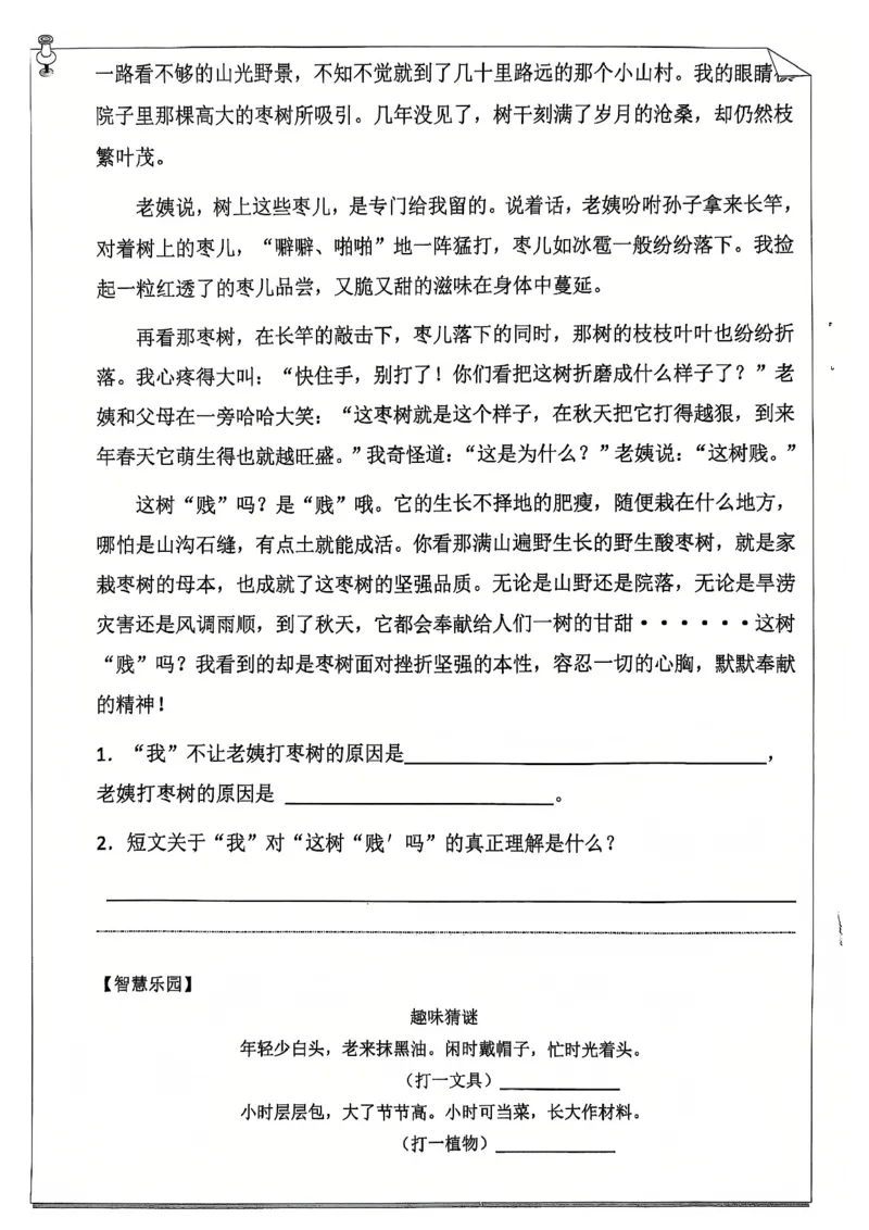 《五年级（上）语文寒假作业_赠送2026小学1-6年级资料合集(按需自取)_五年级_五年级（上）语文寒假作业》第6页预览