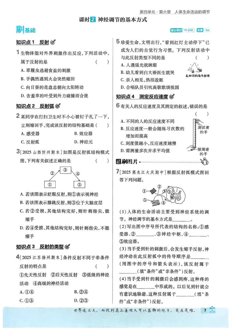 《初中必刷题-8上-生物人教版_2026初中《必刷题》系列_🌲2026年必刷题初中上册各版本合集_🌲2026必刷题八上各科各版本合集》第10页预览