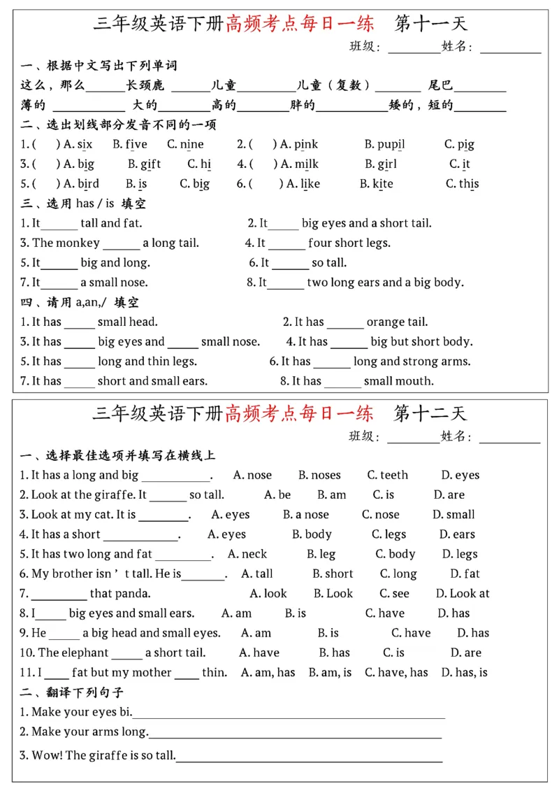 《三年级（下）英语高频考点每日一练《人教pep》_赠送2026小学1-6年级资料合集(按需自取)_三年级_三年级（下）英语高频考点每日一练《人教pep》》第6页预览