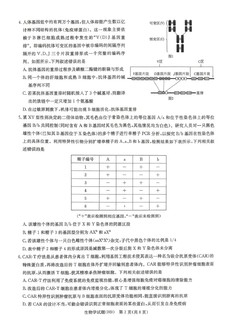 《雅礼中学2026届高三月考试卷（九）生物_2024-2027高三（6-6月题库）_2026年05月高三试卷_2605102026届湖南省长沙市雅礼中学高三下学期模拟卷(一)（全科）》第2页预览