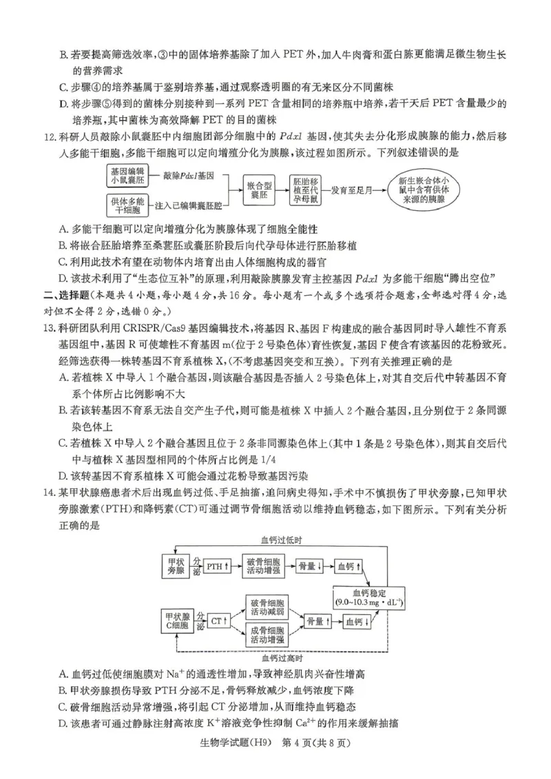 《雅礼中学2026届高三月考试卷（九）生物_2024-2027高三（6-6月题库）_2026年05月高三试卷_2605102026届湖南省长沙市雅礼中学高三下学期模拟卷(一)（全科）》第4页预览