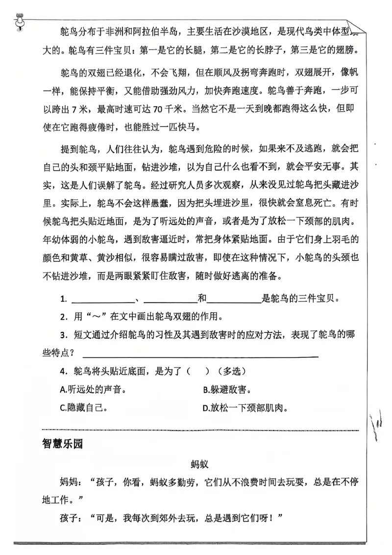 《五年级（上）语文25学年寒假作业_赠送2026小学1-6年级资料合集(按需自取)_五年级_五年级（上）语文25学年寒假作业》第10页预览