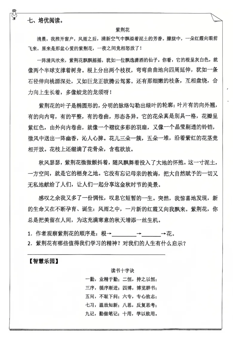 《五年级（上）语文25学年寒假作业_赠送2026小学1-6年级资料合集(按需自取)_五年级_五年级（上）语文25学年寒假作业》第4页预览
