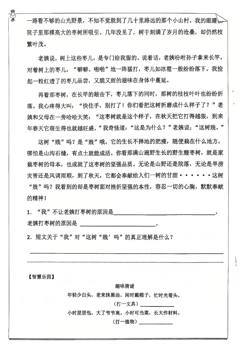 《五年级（上）语文25学年寒假作业_赠送2026小学1-6年级资料合集(按需自取)_五年级_五年级（上）语文25学年寒假作业》第6页预览