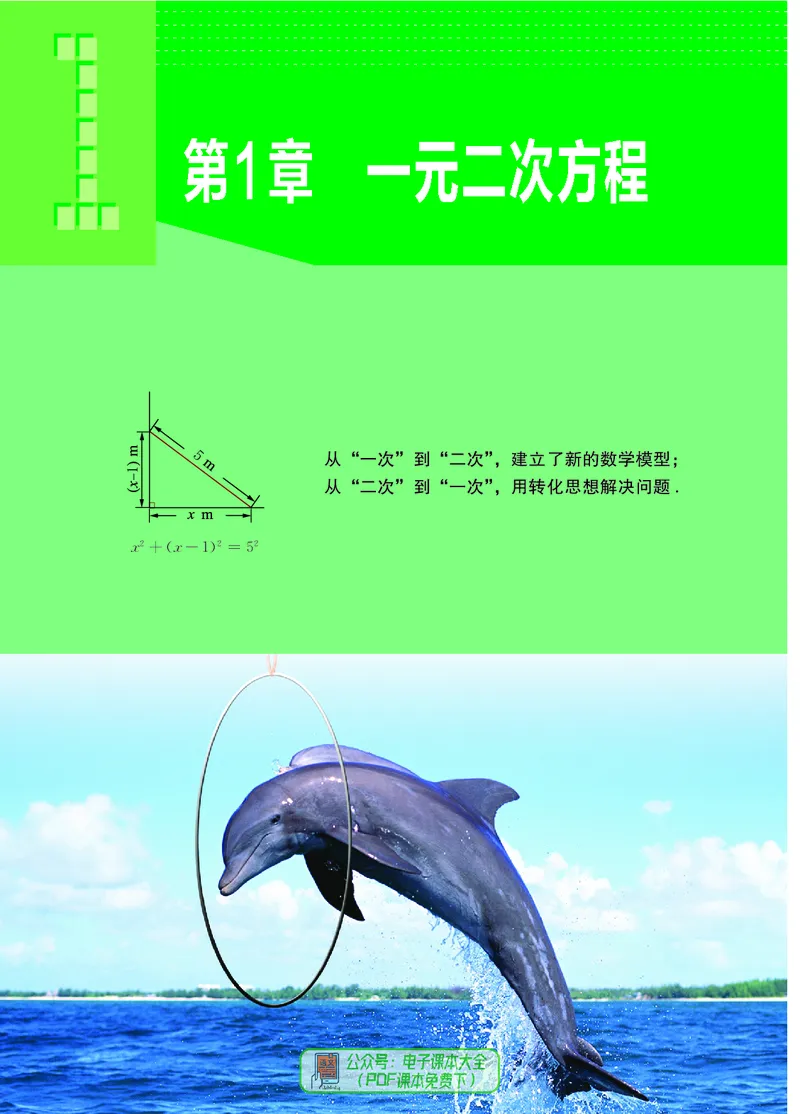 《初中数学九年级上册_初中数学_苏教版》第9页预览