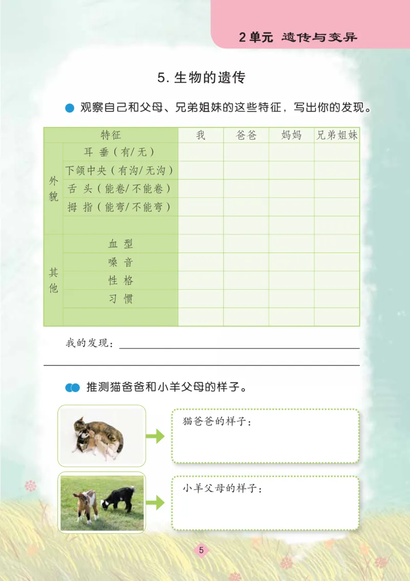 《六年级（上）科学学生活动手册《苏教版》_赠送2026小学1-6年级资料合集(按需自取)_六年级_六年级（上）科学学生活动手册《苏教版》》第7页预览
