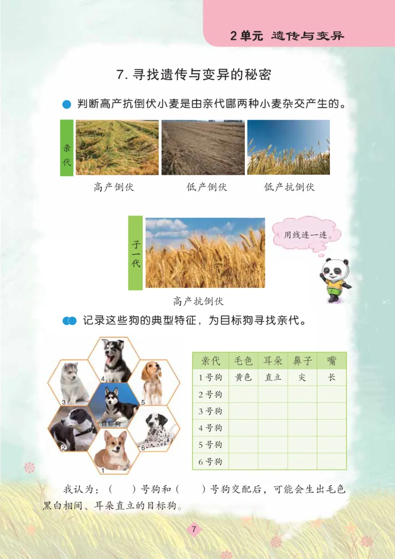 《六年级（上）科学学生活动手册《苏教版》_赠送2026小学1-6年级资料合集(按需自取)_六年级_六年级（上）科学学生活动手册《苏教版》》第9页预览