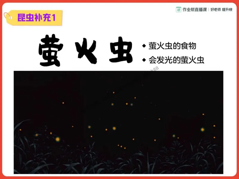 《16.课堂笔记主讲课中笔记_2025初二网课_25初二语文_25初二宋北平语文（作业帮）_秋季下-秋季班A+_课堂笔记》第2页预览