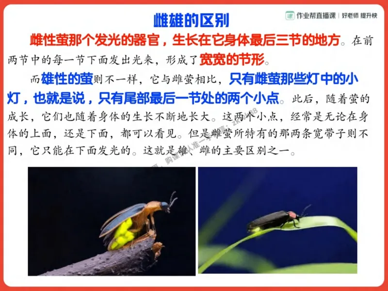 《16.课堂笔记主讲课中笔记_2025初二网课_25初二语文_25初二宋北平语文（作业帮）_秋季下-秋季班A+_课堂笔记》第6页预览