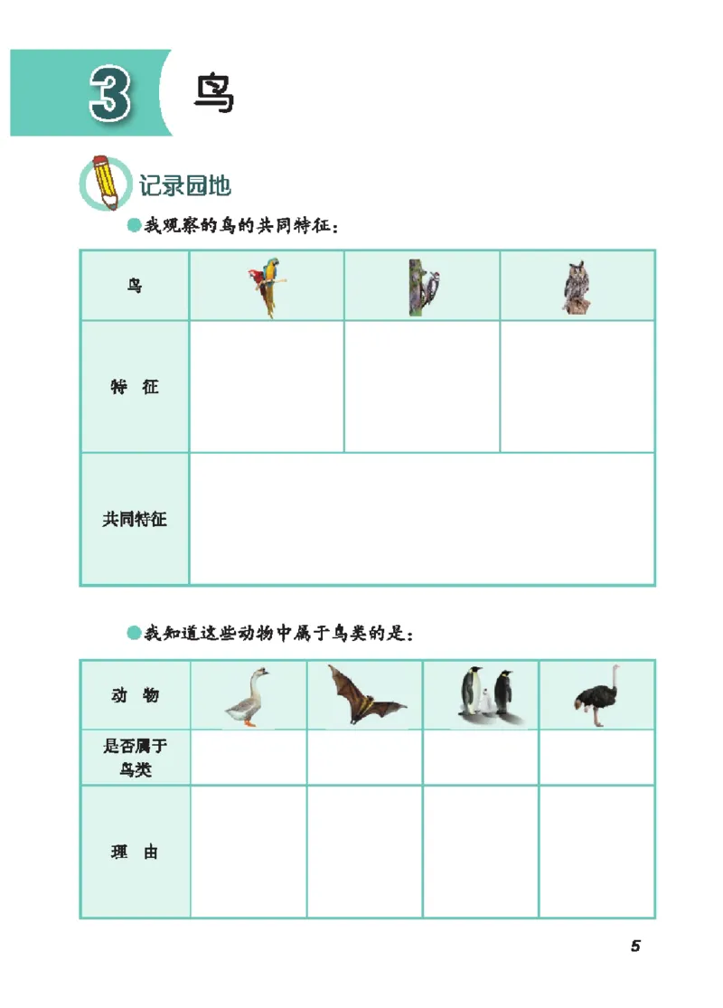 《四年级（上）科学学生活动手册《青岛54版》_赠送2026小学1-6年级资料合集(按需自取)_四年级_四年级（上）科学学生活动手册《青岛54版》》第10页预览