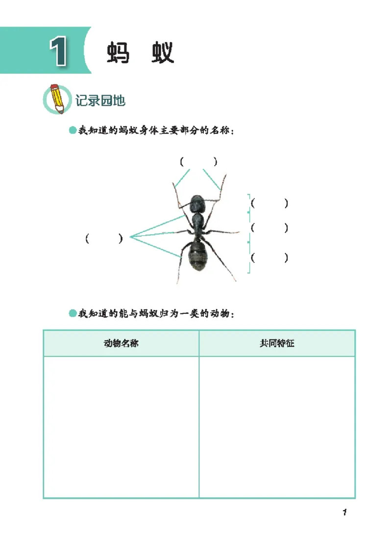 《四年级（上）科学学生活动手册《青岛54版》_赠送2026小学1-6年级资料合集(按需自取)_四年级_四年级（上）科学学生活动手册《青岛54版》》第6页预览