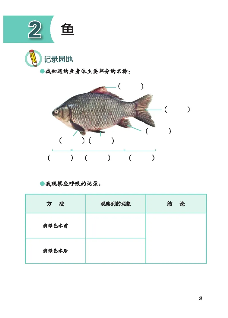 《四年级（上）科学学生活动手册《青岛54版》_赠送2026小学1-6年级资料合集(按需自取)_四年级_四年级（上）科学学生活动手册《青岛54版》》第8页预览