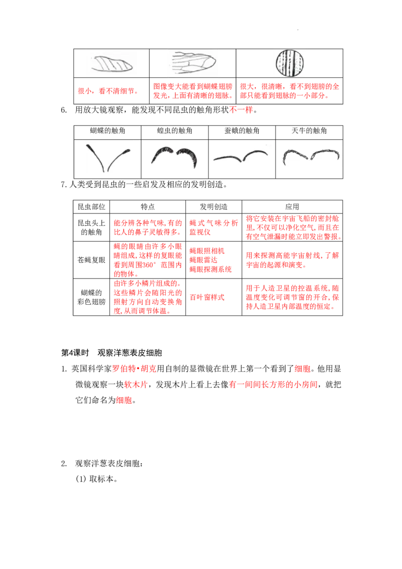 《六年级（上）科学全册知识点清单《教科版》_1_赠送2026小学1-6年级资料合集(按需自取)_六年级_六年级（上）科学全册知识点清单《教科版》_1》第3页预览