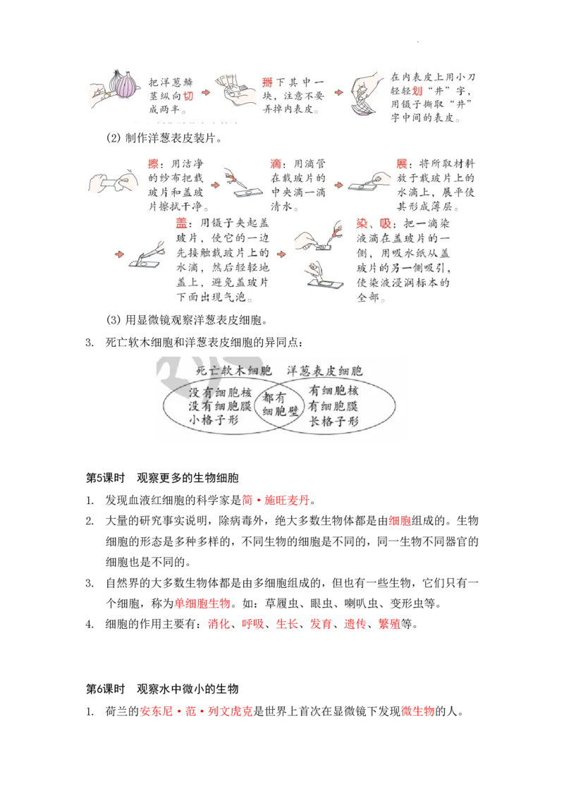 《六年级（上）科学全册知识点清单《教科版》_1_赠送2026小学1-6年级资料合集(按需自取)_六年级_六年级（上）科学全册知识点清单《教科版》_1》第4页预览