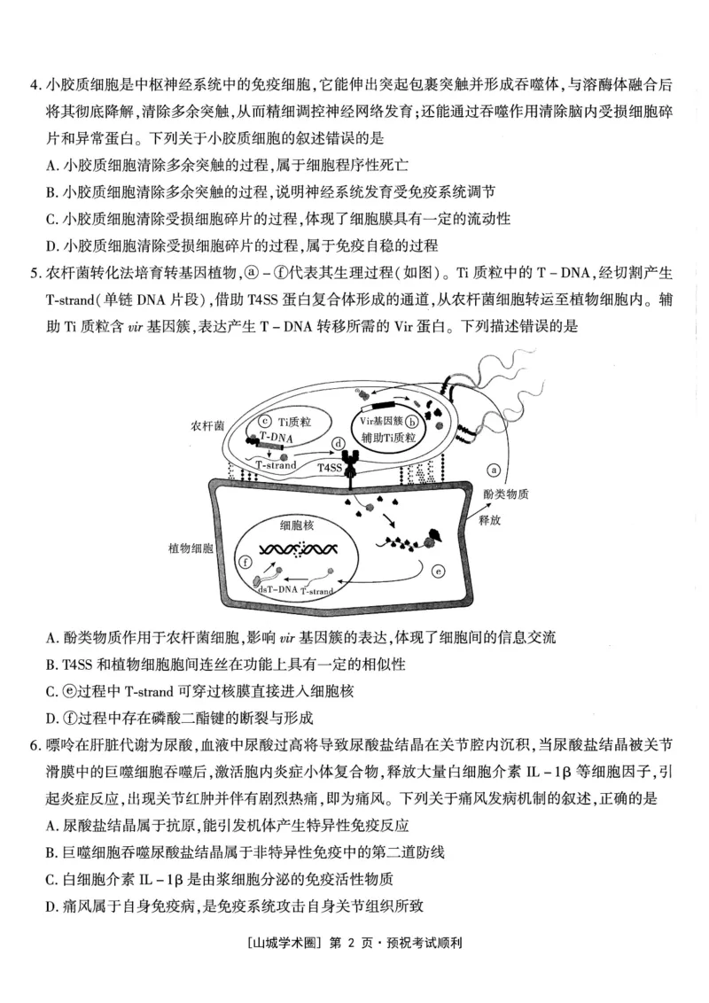《高2026届高三年级质量检测生物_2024-2027高三（6-6月题库）_2026年05月高三试卷_260512重庆南开中学高2026届高三年级质量检测（全科）》第2页预览