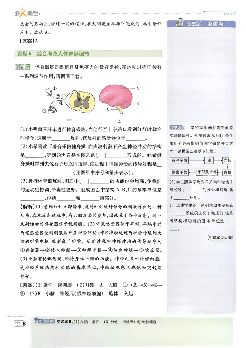 《初中必刷题-8上-生物人教版狂K重点_2026初中《必刷题》系列_🌲2026年必刷题初中上册各版本合集_🌲2026必刷题八上各科各版本合集》第10页预览