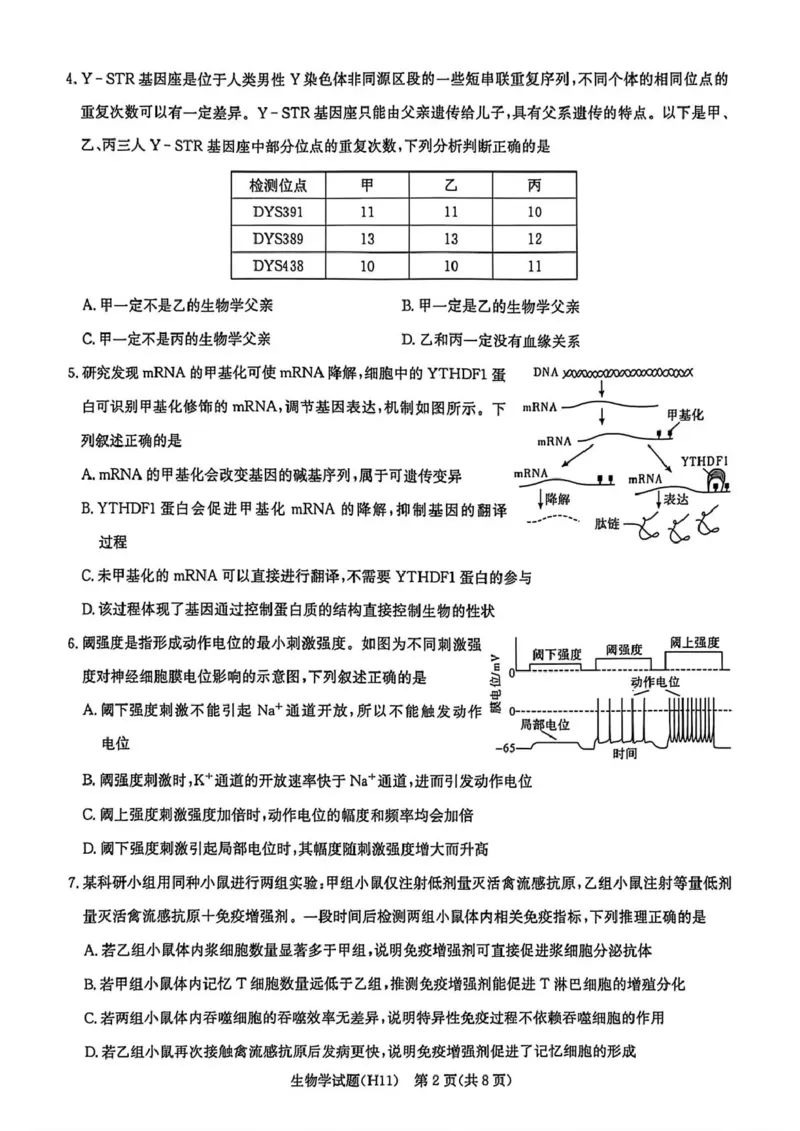 《雅礼中学2026届高三适应性月考卷（十一）生物_2024-2027高三（6-6月题库）_2026年06月高三试卷_260603湖南省雅礼中学2026届高三适应性月考卷（十一）》第2页预览