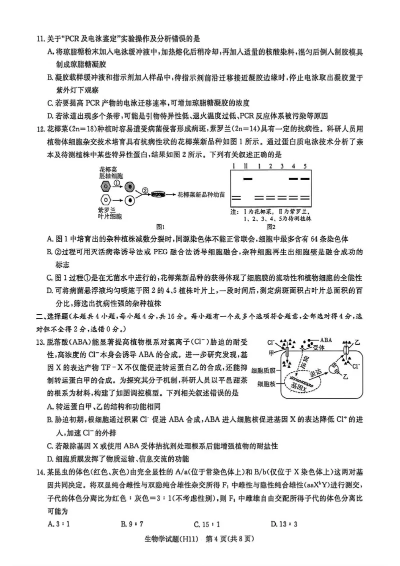 《雅礼中学2026届高三适应性月考卷（十一）生物_2024-2027高三（6-6月题库）_2026年06月高三试卷_260603湖南省雅礼中学2026届高三适应性月考卷（十一）》第4页预览