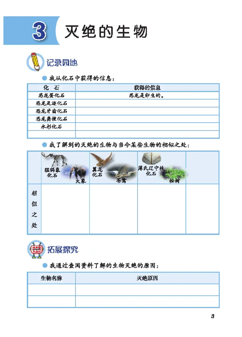 《五年级（上）科学学生活动手册《青岛54版》_赠送2026小学1-6年级资料合集(按需自取)_五年级_五年级（上）科学学生活动手册《青岛54版》》第10页预览