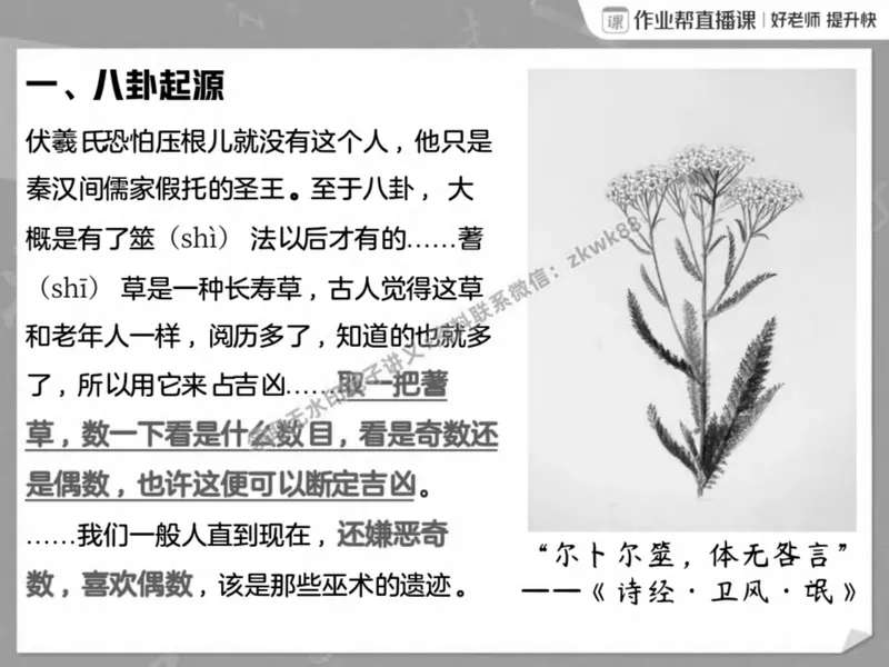 《08.课堂笔记主讲课中笔记_2025初二网课_25初二语文_25初二宋北平语文（作业帮）_春季上-寒假班A+_课堂笔记》第8页预览